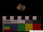 L_V23d3913 J4q273.3 U912 dM kw f137